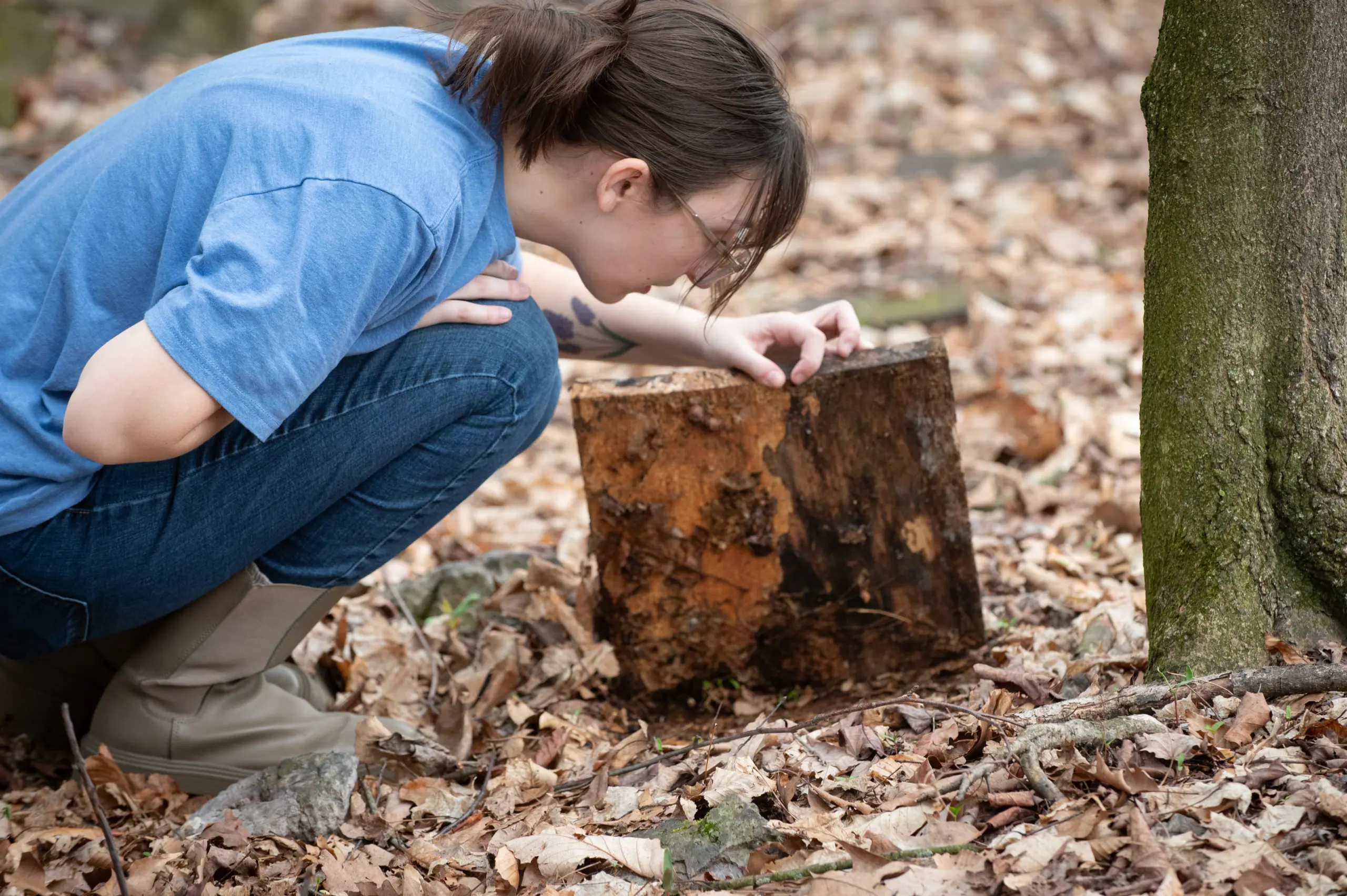 Environmental Services